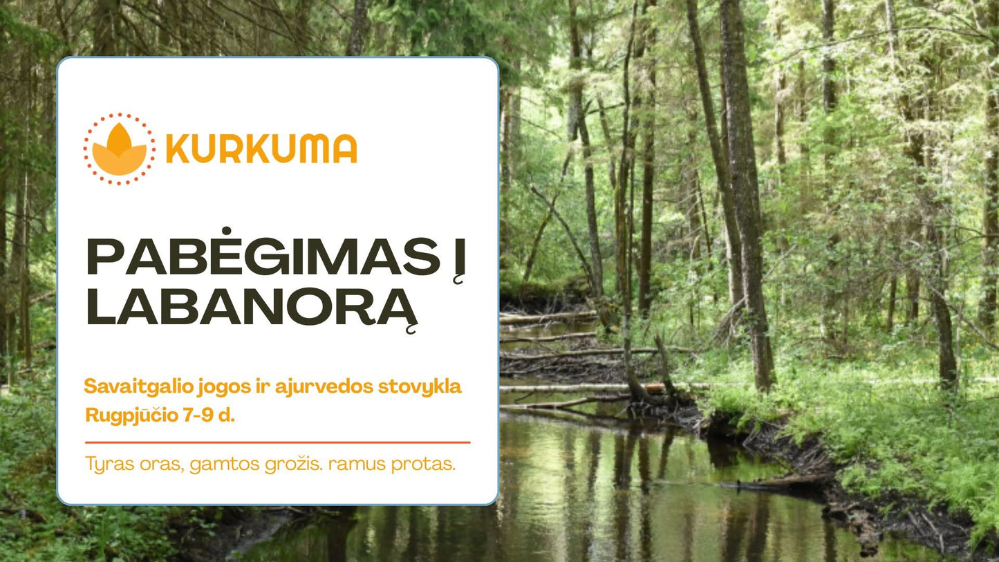 Kurkumos vasaros stovykla